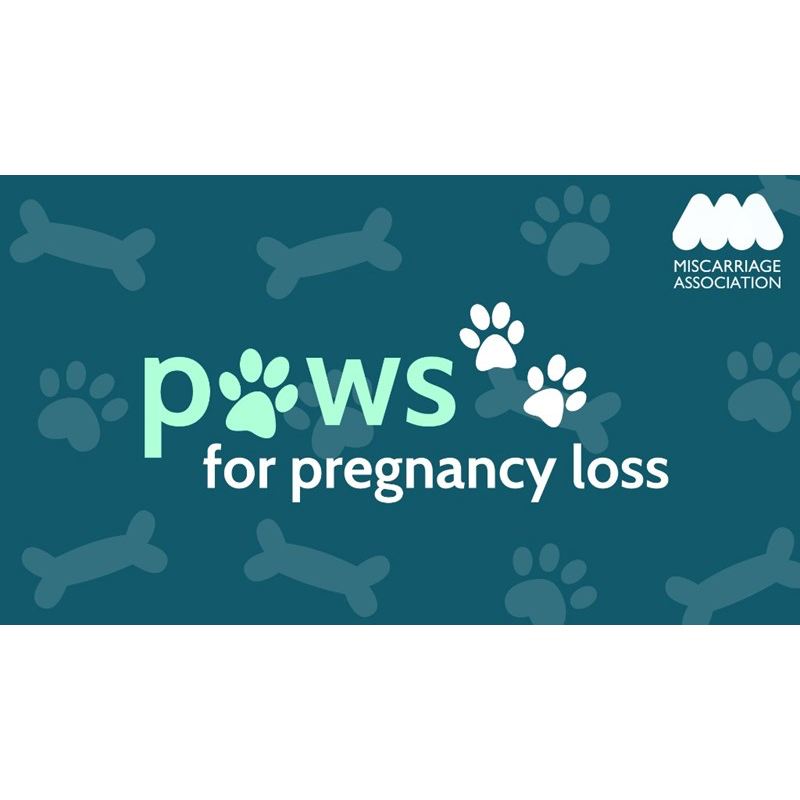 Breaking the Silence on Miscarriage, One Paw at a Time 🐾💚